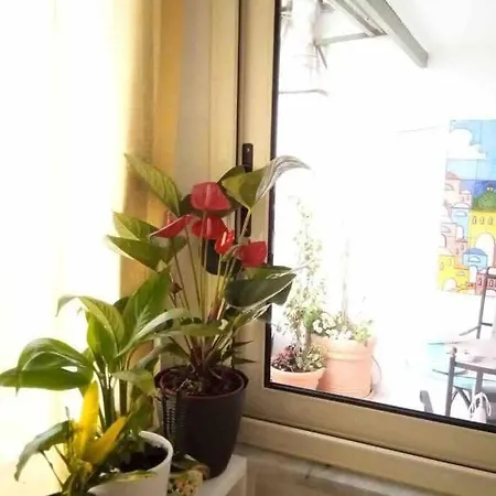 Casa Dalia Apartment